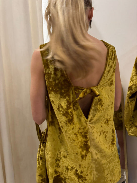 Velvet Twiggy Mini Dress